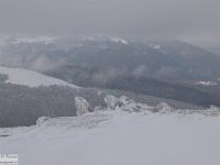 2018-01-13 M. Orsello 223